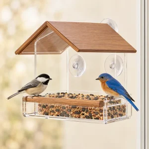 The Visitors at the Window Feeder — generated product visualization