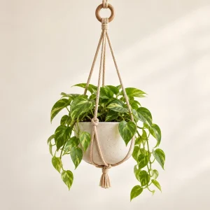 The Little Hanging Garden Pot — generated product visualization